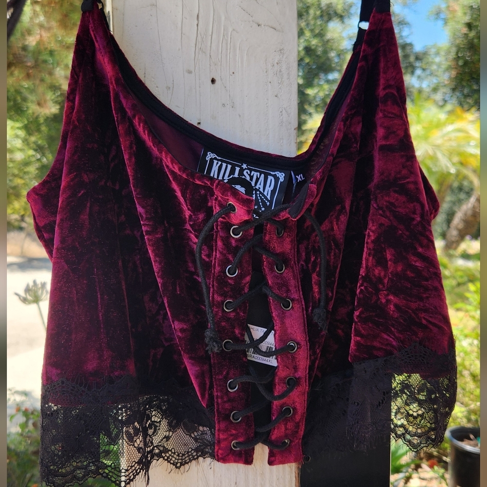 Dalia Killstar Crop Top in Plum with Black Lace